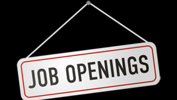 CAG Recruitment 2021:Apply for 10811 Auditor and Accountant jobs CAG Recruitment 2021:Apply for 10811 Auditor and Accountant jobs