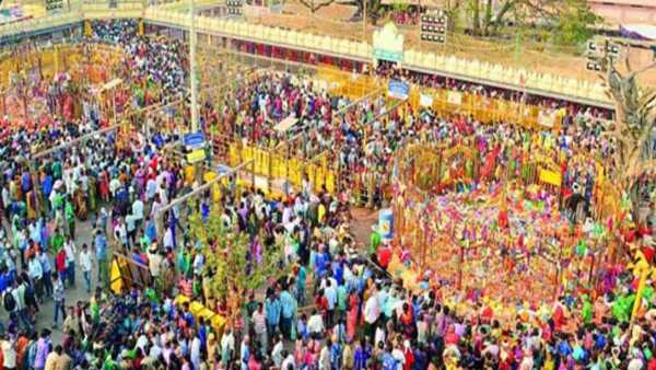 medaram chinna jatara from February 24th medaram chinna jatara from February 24th