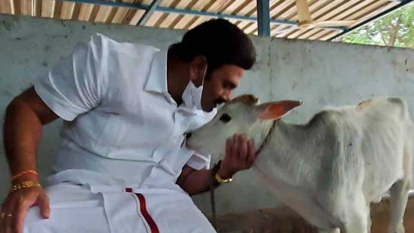 రాజు గారి రాకపై బెట్టింగులకూ రెడీ