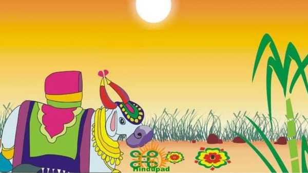 కనుమ అంటే పశువుల పండగ