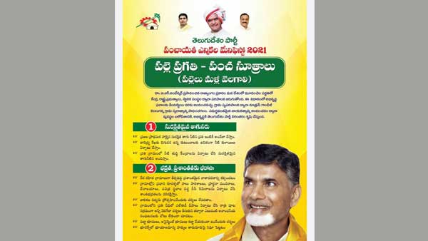పల్లె ప్రగతి-పంచసూత్రాల పేరుతో