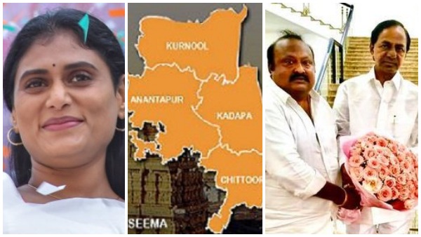 సారు పుట్టినరోజు.. షర్మిల జోరు