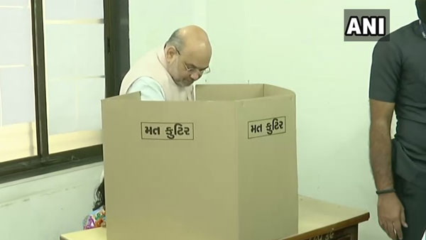 Gujarat local body polls: Union Minister Amit Shah casts his vote at Ahmedabad Gujarat local body polls: Union Minister Amit Shah casts his vote at Ahmedabad