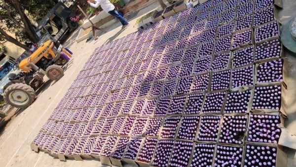 ap special enforcement bureau seize 9600 bottles of telangana liquor in west godavari ap special enforcement bureau seize 9600 bottles of telangana liquor in west godavari