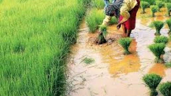 సమస్య ఎక్కడంటే ?
