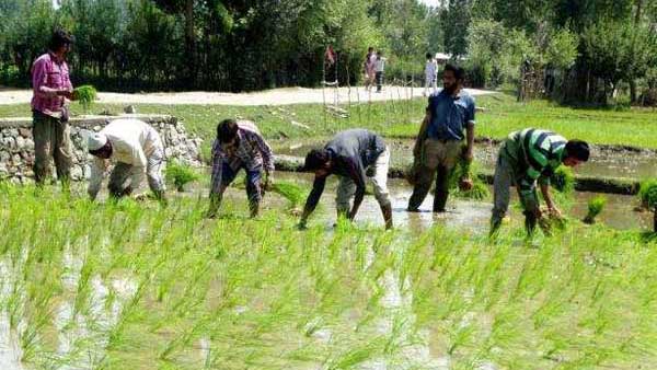 రైతులు ఏమంటున్నారు...