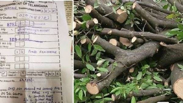 hyderabad: Rs 62,075 fined for cutting of 40 year old neem tree. hyderabad: Rs 62,075 fined for cutting of 40 year old neem tree.