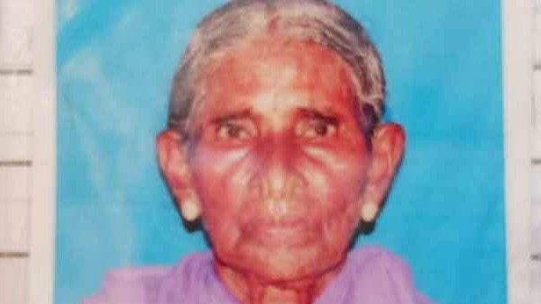 ap panchayat elections 95 year old woman died after she voted ap panchayat elections 95 year old woman died after she voted