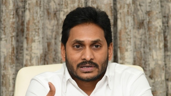 సొంతంగా కొనుగోలుకూ