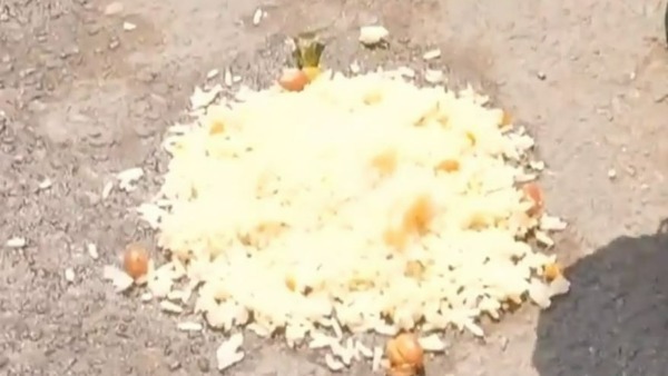 నడిరోడ్డుపై ఆహారాన్ని తింటూ..