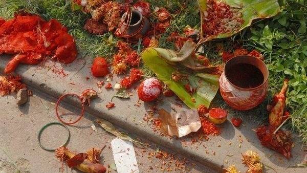 పీడీ యాక్ట్ సహా..