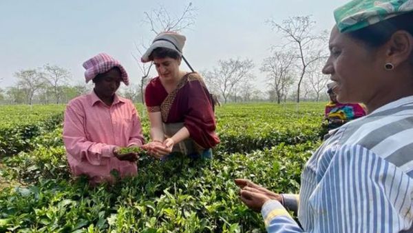 మార్చి 27 న జరగనున్న అసోం ఎన్నికలు .. పట్టు కోసం కాంగ్రెస్ నేతల పాట్లు