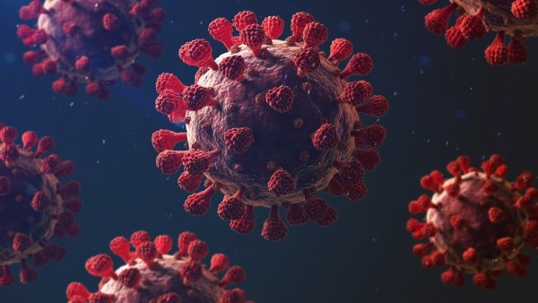 Coronavirus Coronavirus