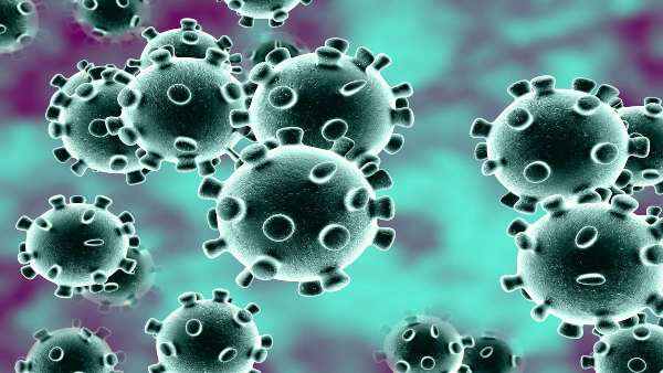 Coronavirus Coronavirus