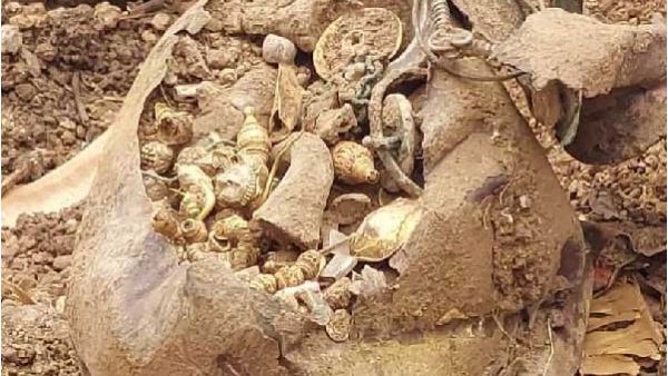 farmer finds 5 kg gold pot in land leveling works at fields in Jangaon district farmer finds 5 kg gold pot in land leveling works at fields in Jangaon district