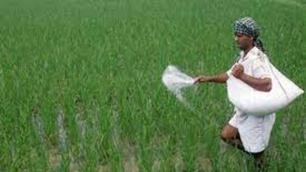 central government order companies not to hike fertilizer prices central government order companies not to hike fertilizer prices
