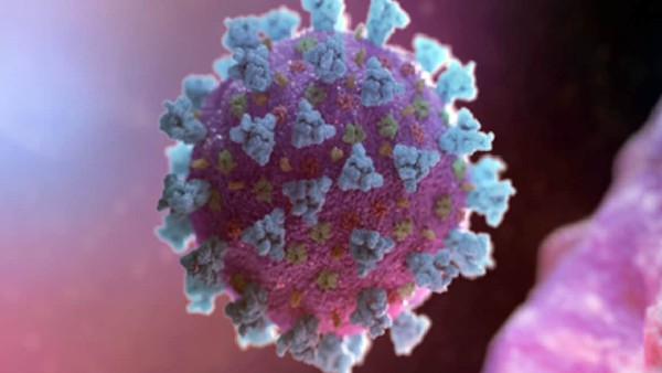Experts find new Covid Variant in West Bengal,says it can escape immunity Experts find new Covid Variant in West Bengal,says it can escape immunity