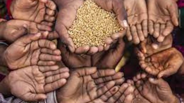 Centre to provide free food grains for 2 months under PM Garib Kalyan Ann Yojana Centre to provide free food grains for 2 months under PM Garib Kalyan Ann Yojana