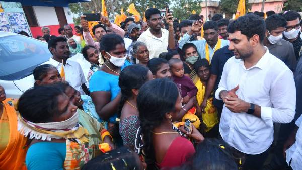 మరో పిల్లి ఎందుకు