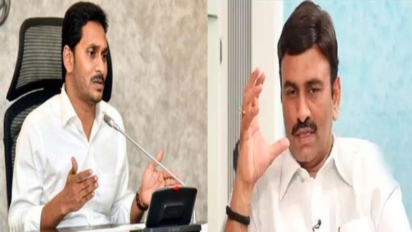 రాజుగారూ... ఇదా సమయం ముఖ్యమంత్రి గారి బెయిల్ రద్దు చేయమని కోరడానికి ?