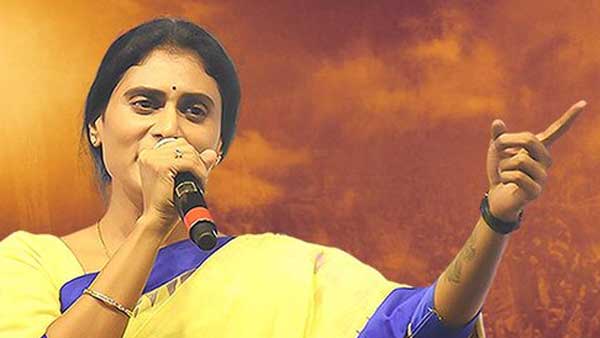 కేసీఆర్ మొసలి కన్నీళ్లు...