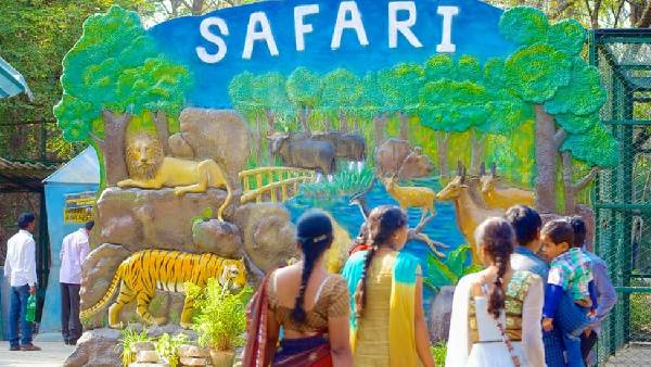మనుషుల ద్వారా సింహాలకు సోకిందా?
