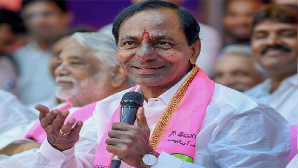 గ్రేటర్ వరంగల్ కొర్పొరేషన్ టీఆర్ఎస్ కైవసం