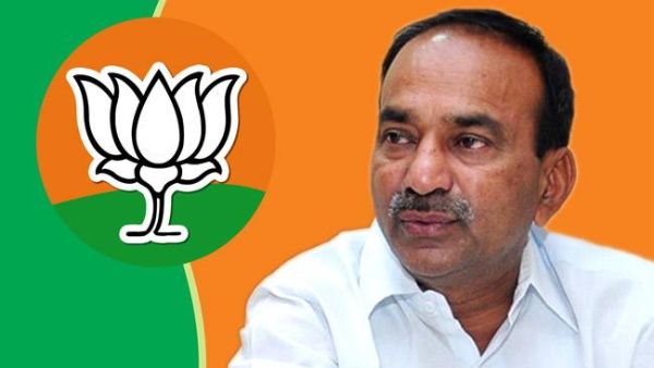 వెంట ఏనుగు, గుమ్మడి..