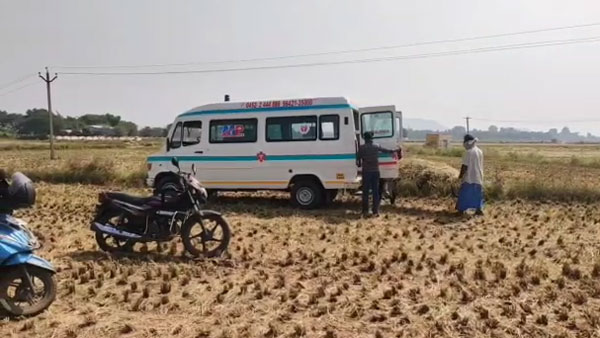 అడవిలో లిక్కర్ పార్టీ...... మస్త్ మజా