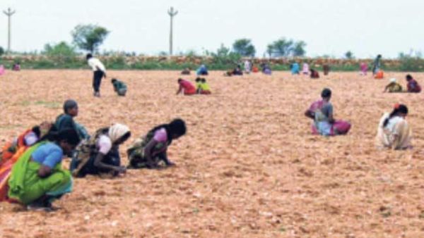 రాయలవారి వజ్రాలేనా? దొరికేది ఇక్కడే