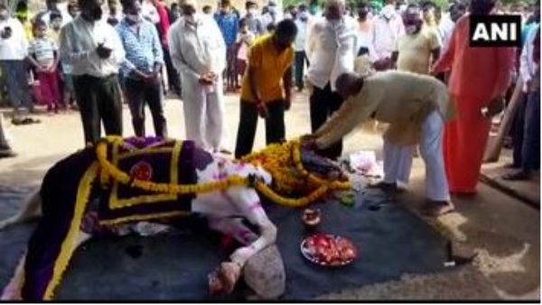 Karnataka: People were seen at the funeral of a horse in the Belagavi as Covid19 restrictions Karnataka: People were seen at the funeral of a horse in the Belagavi as Covid19 restrictions