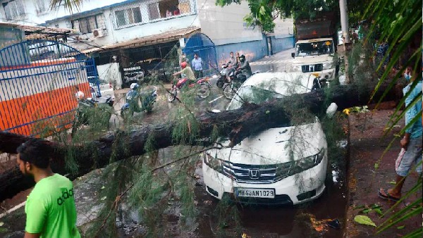 Cyclone Tauktae makes landfall: 6 dead in Maharashtra Cyclone Tauktae makes landfall: 6 dead in Maharashtra