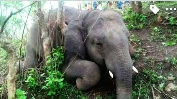 కొత్త సీఎం కీలక ఆదేశాలు..