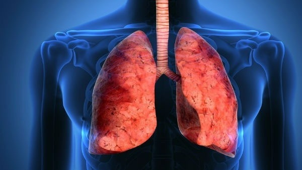 how is your lungs, test yourself how is your lungs, test yourself