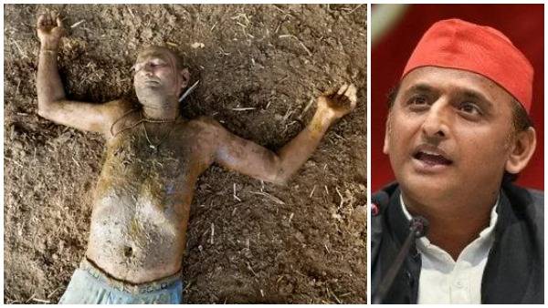 viral video: Should We Cry Or Laugh?: Akhilesh Yadav On Cow Dung As Covid Cure viral video: Should We Cry Or Laugh?: Akhilesh Yadav On Cow Dung As Covid Cure