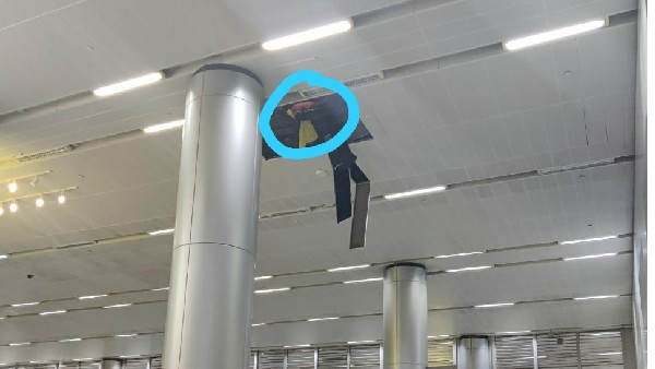 Gas leakage in Hyderabad airport: one dead, two hospitalized Gas leakage in Hyderabad airport: one dead, two hospitalized