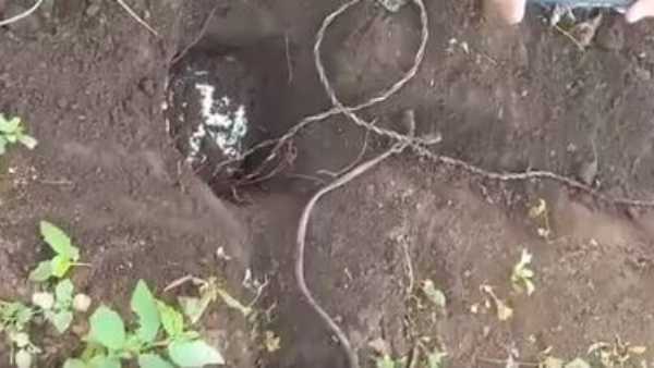security forces defused two landmines fixed by mavoists while coming in AOB security forces defused two landmines fixed by mavoists while coming in AOB