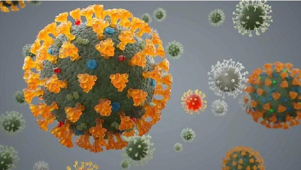 Karnataka: Delta Plus variant of Covid19 have been found in Bengaluru and Mysuru Karnataka: Delta Plus variant of Covid19 have been found in Bengaluru and Mysuru