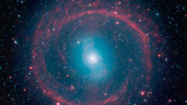 What are Dosha Nakshatras? Children born under this constellations will have to perform these What are Dosha Nakshatras? Children born under this constellations will have to perform these