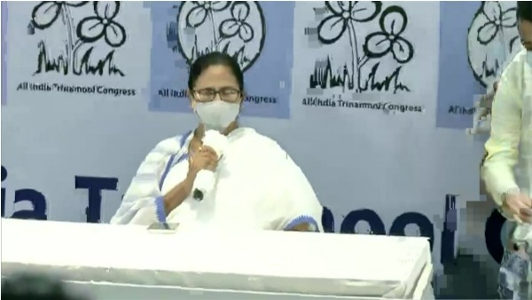 mukul roy returned to tmc, cm mamata banerjee says more will come soon mukul roy returned to tmc, cm mamata banerjee says more will come soon