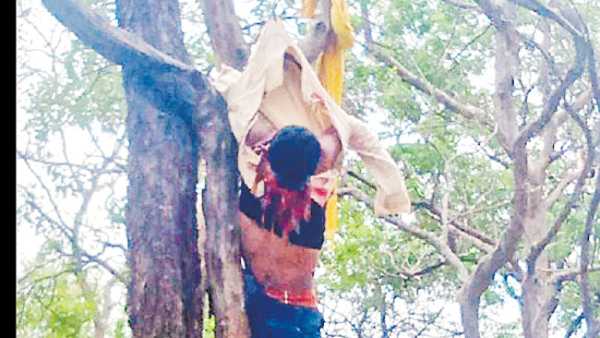 nirmal speeding car hits bike man thrown in air died nirmal speeding car hits bike man thrown in air died