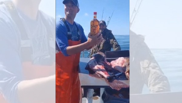 A fish swallowed a unsealed whiskey bottle, video goes viral. A fish swallowed a unsealed whiskey bottle, video goes viral.