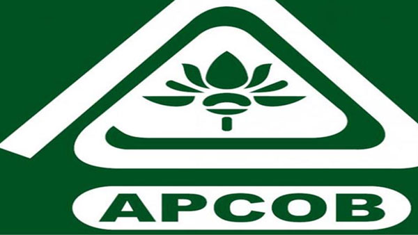 APCOB Recruitment 2021:Apply for 61 Manager scale-1 and staff assistant posts APCOB Recruitment 2021:Apply for 61 Manager scale-1 and staff assistant posts