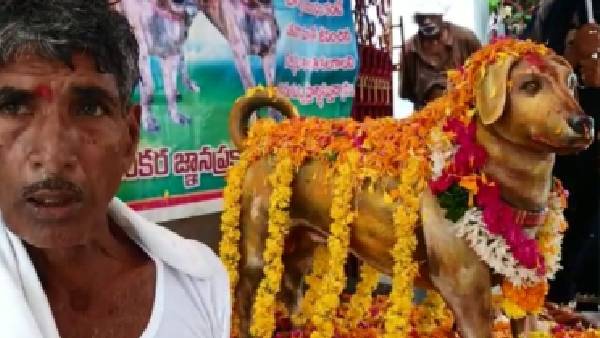 bronze statue built late dog at andhra pradesh krishna district. bronze statue built late dog at andhra pradesh krishna district.