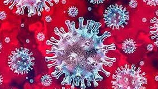 2 Delta Plus cases registered in AP and 2 in Telangana .. announced in Lok Sabha 2 Delta Plus cases registered in AP and 2 in Telangana .. announced in Lok Sabha