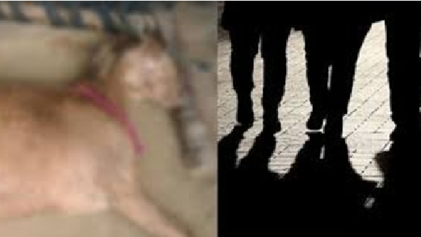 మేకపై గ్యాంగ్ రేప్..