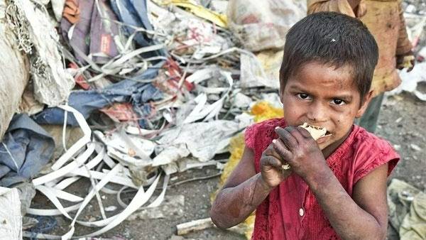 155 మిలియన్ల మందికి ఆహార సంక్షోభం