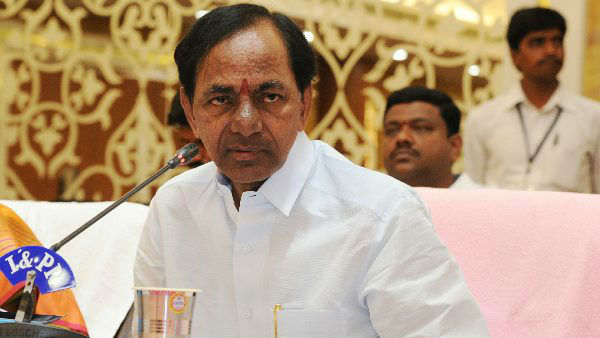 పీవీ విగ్రహ ఏర్పాటును ప్రస్తావించి...