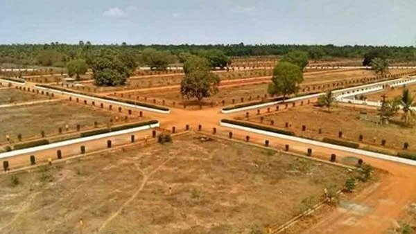 అసలు భూముల వేలం ఎందుకంటే
