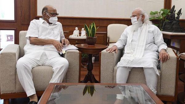 pm modi, sharad pawar meet, speculations on lobbying for presidential candidature pm modi, sharad pawar meet, speculations on lobbying for presidential candidature